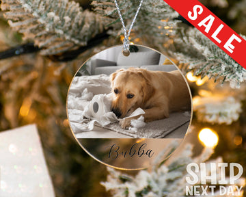 Gizify Personalized Dog Photo Ornament, Pet Acrylic Ornament